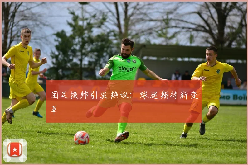 国足换帅引发热议:球迷期待新变革